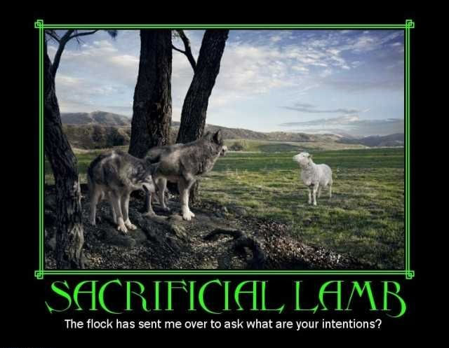 Sacrificial lamb as an envoy to wolves.