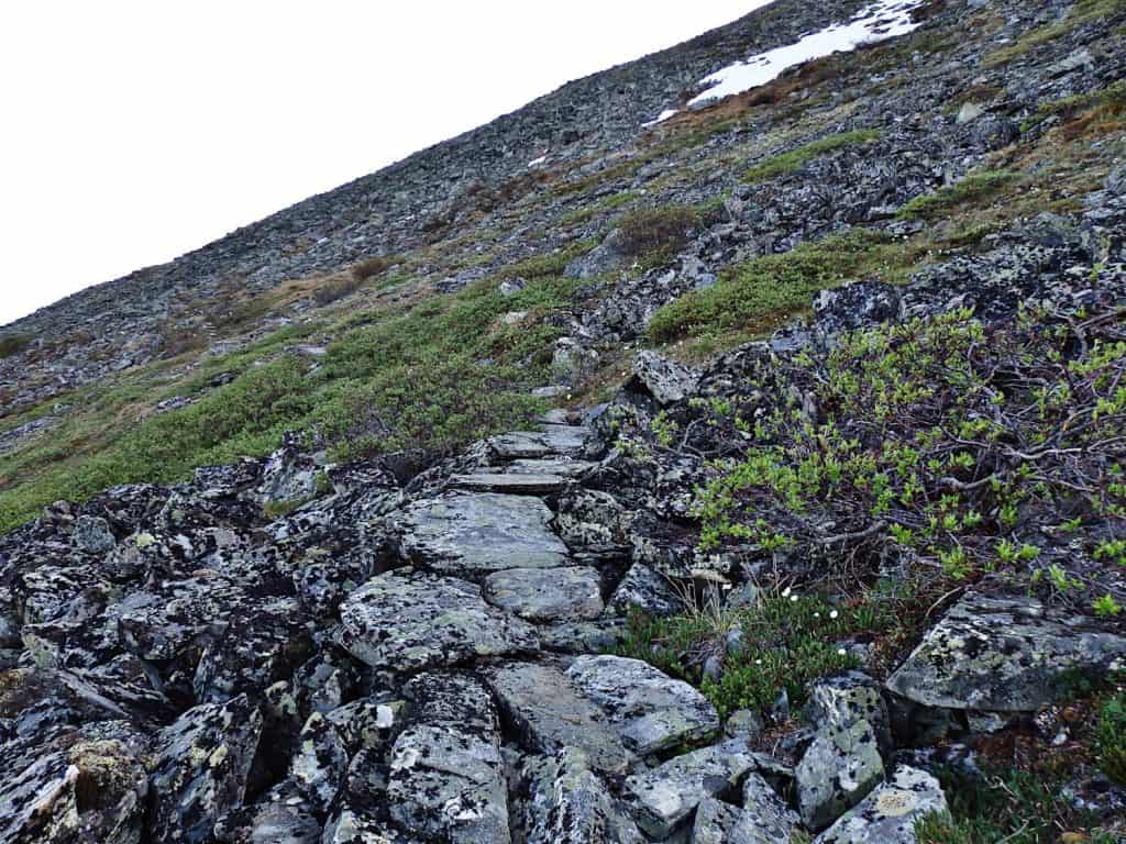 Alaskan wilderness photography Pinnell Mountain trail crosses the flank of Porcupine Dome